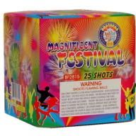 Magnificent Festival