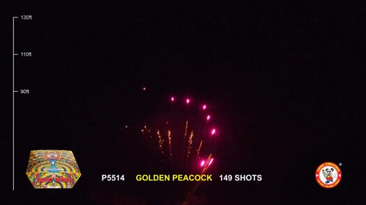 Golden Peacock 500 gram fireworks case price