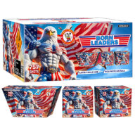 BORN LEADERS P5599 WINDA FIREWORKS 2026 NEW ITEMS Rocketfireworks