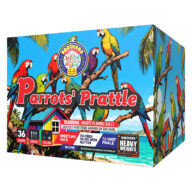 BP2985 Parrots Prattle Heavy Weights cake 36 shots Rocketfireworks
