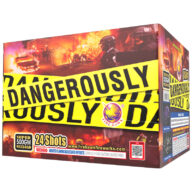 FB2616A 24 Shot Dangerously Rocketfireworks