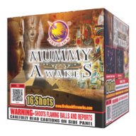 Mummy Awakes MS287 16 shot Firehawk Fireworks Rocketfireworks