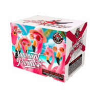 RA530297 Sunburst Paradise RACCOON FIREWORKS 1.4G 2026 New RDX Cake 12 Shots Rocketfireworks