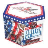 RA225107 United we Roar Raccoon Fireworks Rocketfireworks